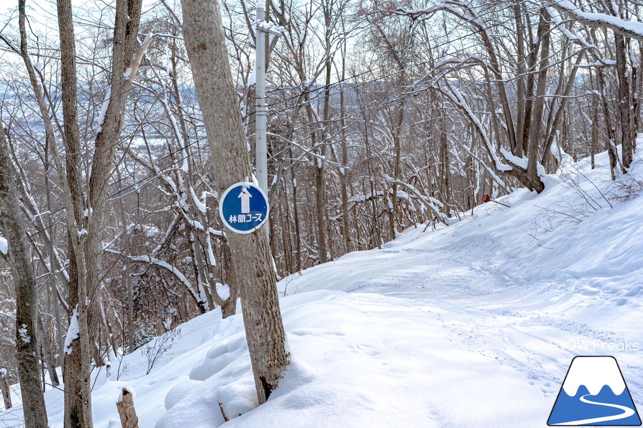 札幌藻岩山スキー場｜ふわっふわの粉雪シーズン到来！思いっきり多彩なコースを楽しみましょう！